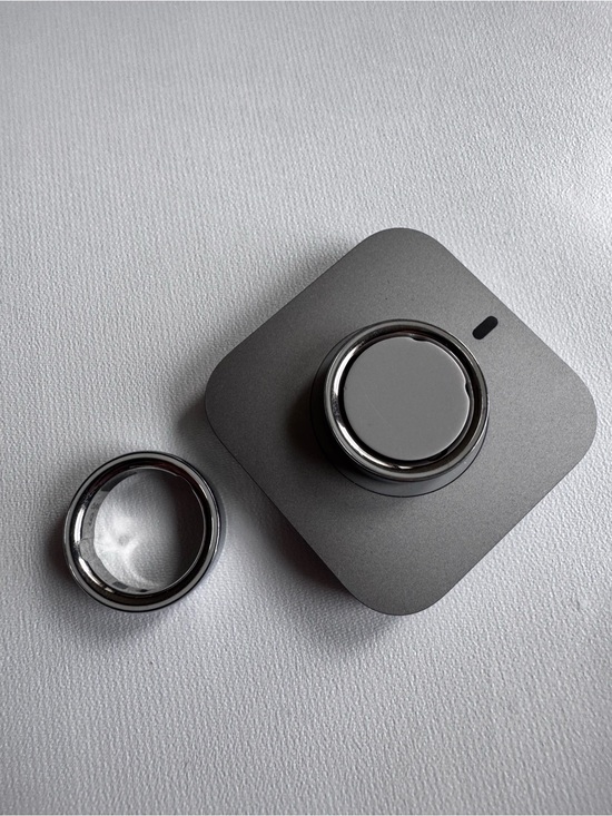 Oura Other - Oura Gray Magnetic Ring Accessory with Silver Accent